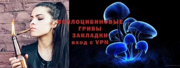 дживик Киренск
