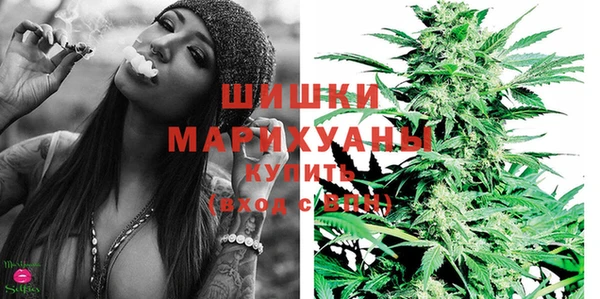 дживик Киренск
